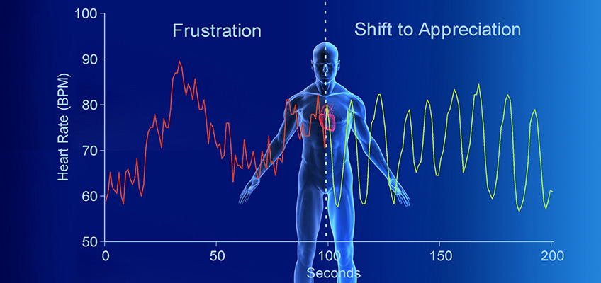 Behav Med Foundation - Heart-Rate Variability Home Study Course