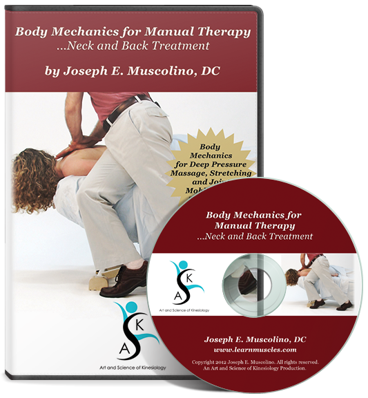 Body Mechanics for Manual Therapy