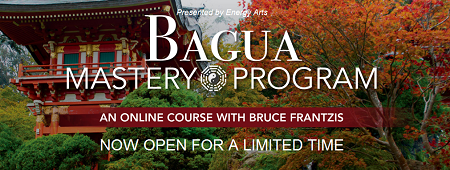 Bruce Frantzis - Bagua Mastery Program