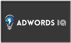 Caitlin Schlichting - AdWords IQ Academy