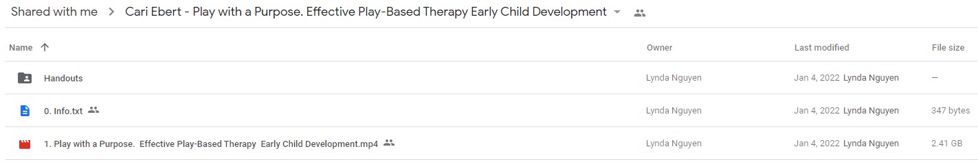 Cari Ebert - Play with a Purpose Effective Play-Based Therapy & Early Child Development