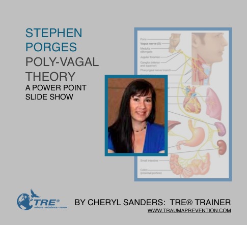 Cheryl Sanders - The Polyvagal Powerpoint Presentation