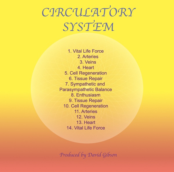 Circulatory System