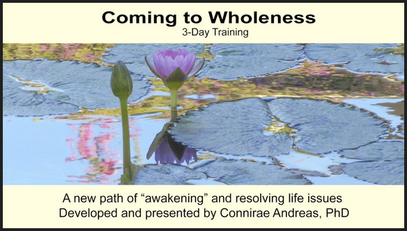 Connirae Andreas - 3-day Wholeness Training