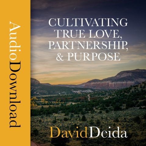 David Deida - Cultivating True Love, Partnership, and Purpose