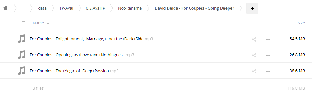 David Deida - For Couples: Going Deeper Into Your Love