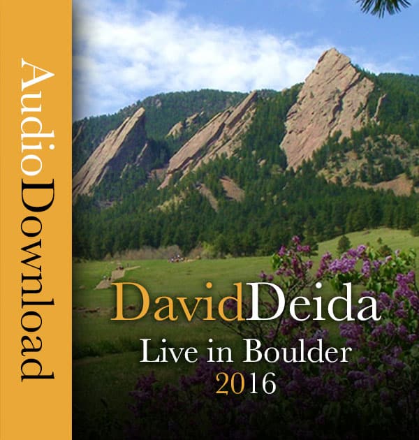 David Deida - Live from Boulder