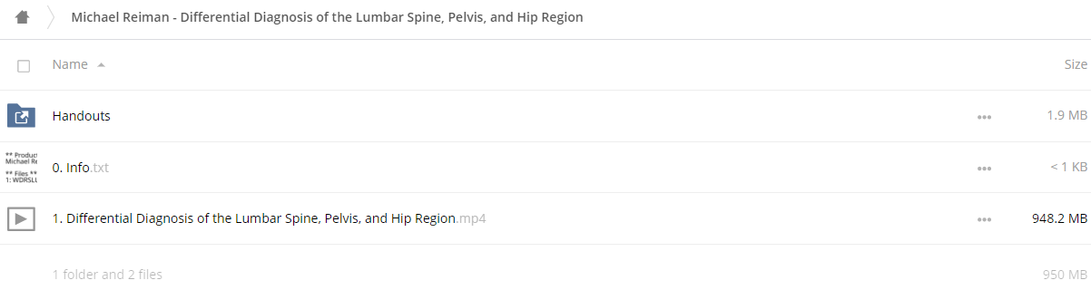 Michael Reiman – Differential Diagnosis of the Lumbar Spine, Pelvis, and Hip Region