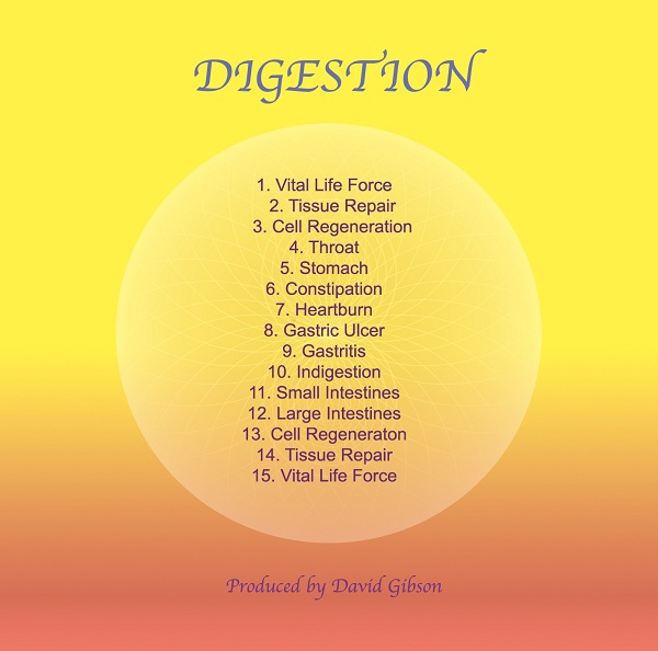 Digestion