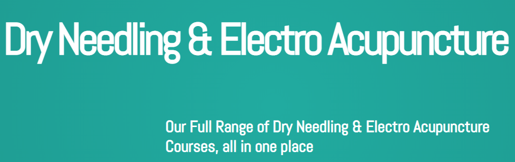 Dry Needling & Electro Acupuncture Bundle