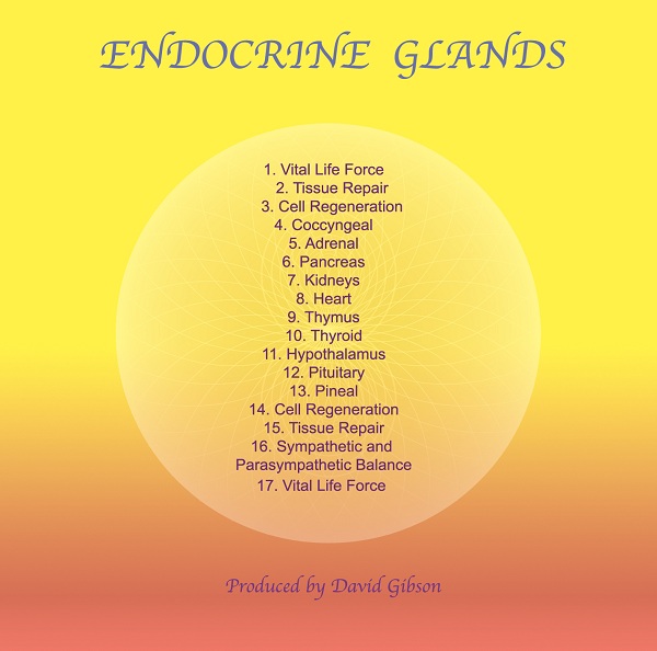 Endocrine Glands