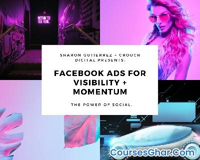 Facebook Ads For Visibility + Momentum