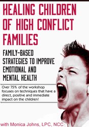 Healing Children of High Conflict Families: Family-Based Strategies to Improve Emotional and Mental Health - Monica Johns