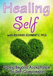 Healing Self: Going Beyond Acceptance to Self-Compassion - Richard C. Schwartz