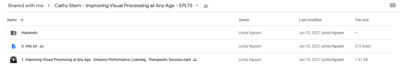 Improving Visual Processing at Any Age: Enhance Performance, Learning, & Therapeutic Success - Cathy Stern