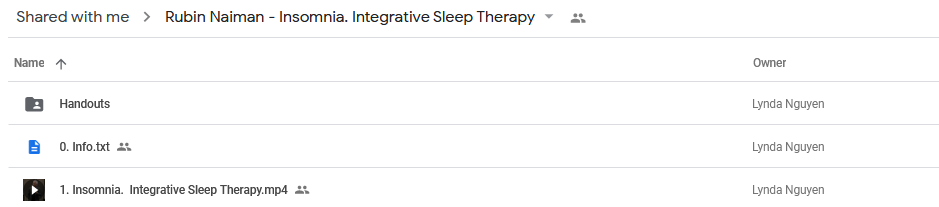 Insomnia: Integrative Sleep Therapy - Rubin Naiman