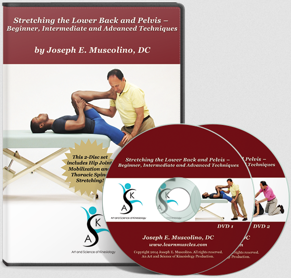 Joseph Muscolino - Stretching the Lower Back and Pelvis – Beginner, Intermediate and Advanced Techniques