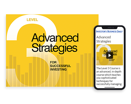 LEVEL 3 Home Study Program ADVANCED STRATEGIES FOR SUCCESSFUL INVESTING2