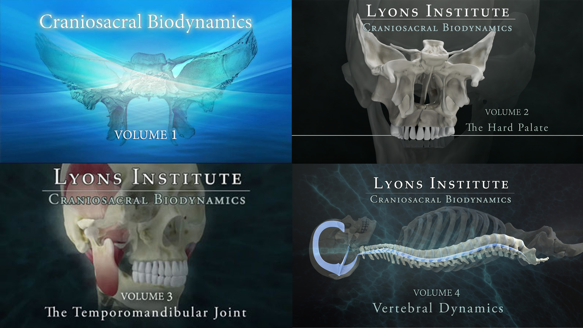 Lyons Institute - Biodynamic Craniosacral Set