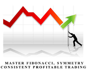 Daytradingzones - Master Fibonacci, Symmetry & Consistent Profitable Trading