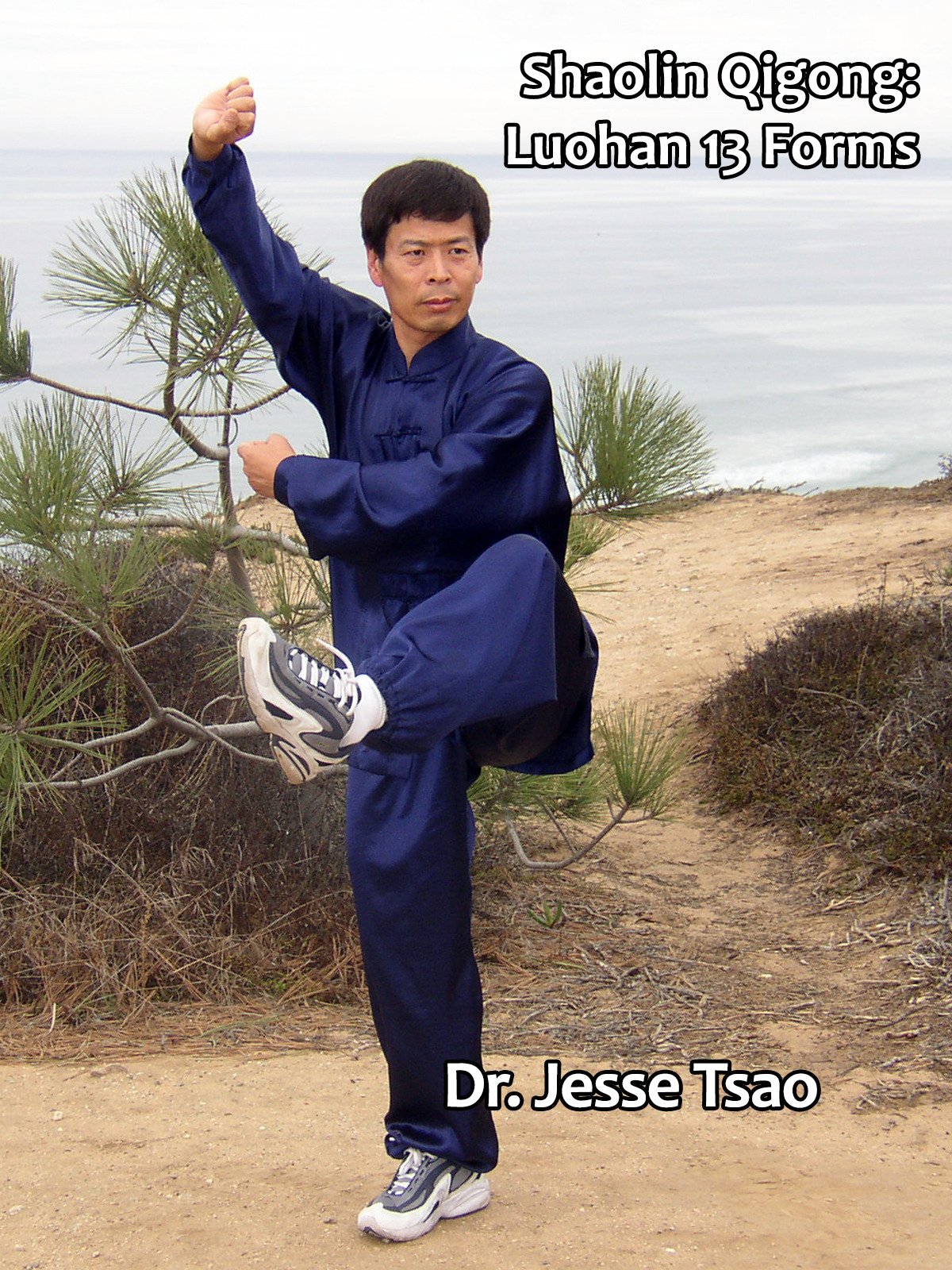 Master Tsao – Shaolin Qigong Luohan 13 Forms