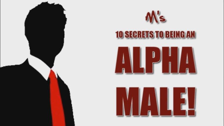 Matt Cross - M’s Ten Secrets To Being An Alpha Male