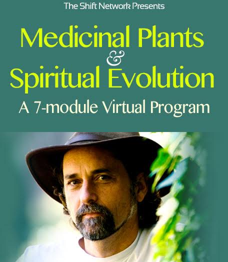 Medicinal Plants and Spiritual Evolution