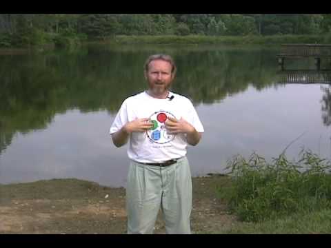 Michael Winn - 8 Extraordinary Vessels Qigong