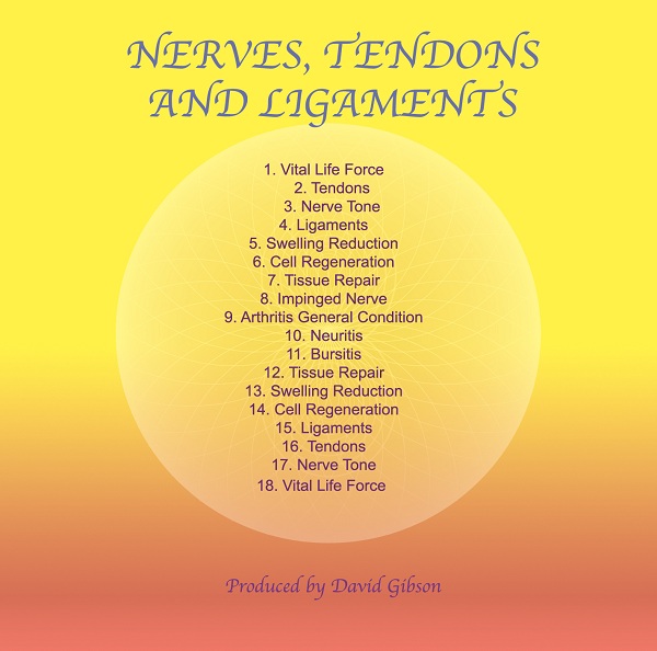 Nerves, Tendons and Ligaments