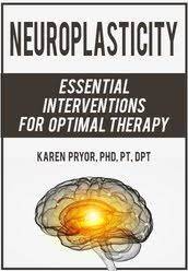 Neuroplasticity Essential Interventions for Optimal Therapy