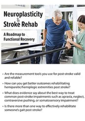 Neuroplasticity and Stroke Rehab A Roadmap to Functional Recovery