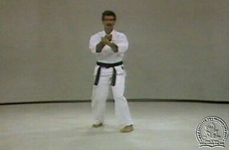 Okinawan Uechi Ryu Karate Series