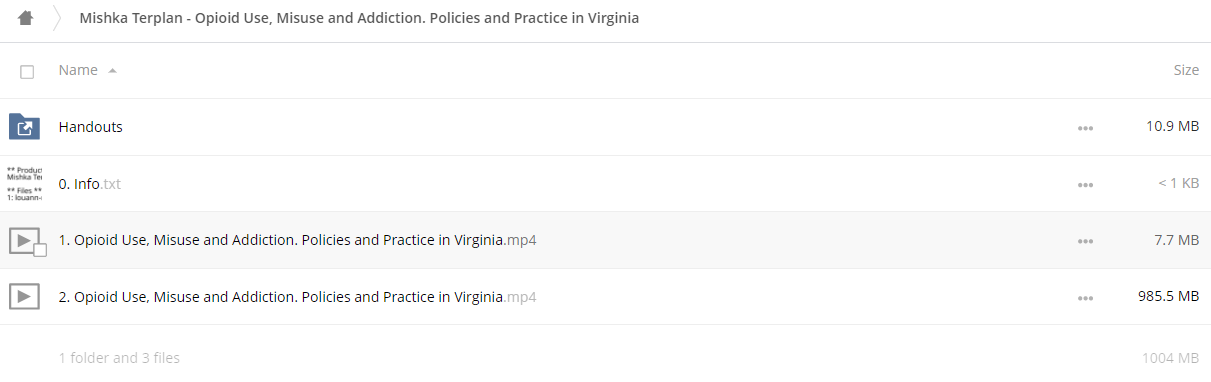 Opioid Use, Misuse and Addiction Policies and Practice in Virginia