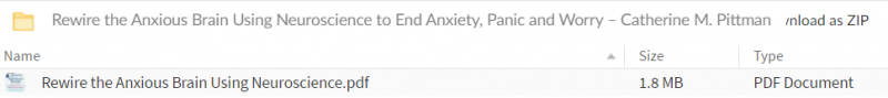 Rewire the Anxious Brain Using Neuroscience to End Anxiety, Panic and Worry