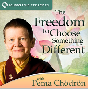 Pema Chödrön – THE FREEDOM TO CHOOSE SOMETHING DIFFERENT