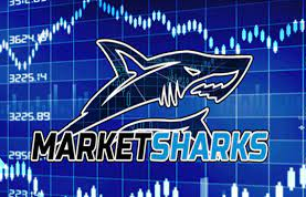 Market Sharks Premium Training