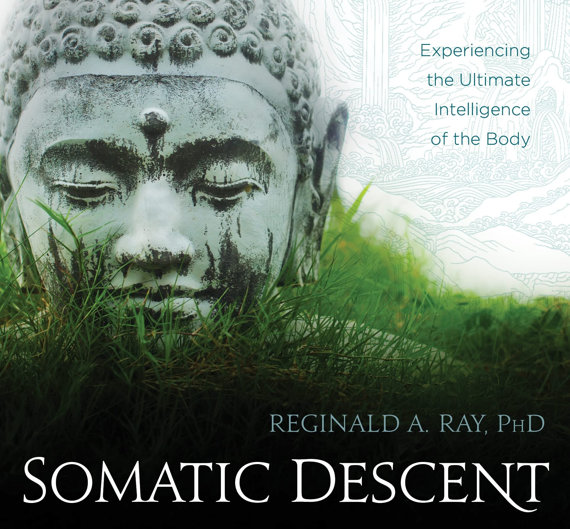 Somatic Descent Experiencing the Ultimate Intelligence of the Body