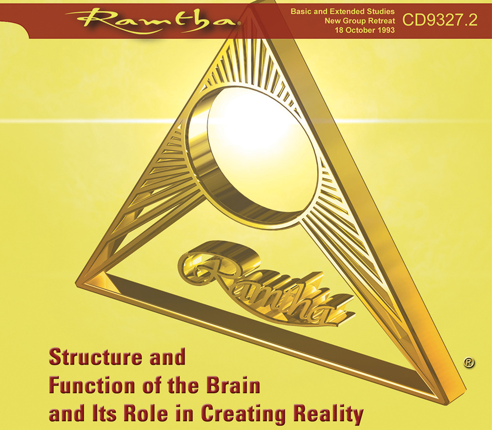 Structure And Function Of The Brain And Its Role In Creating Reality