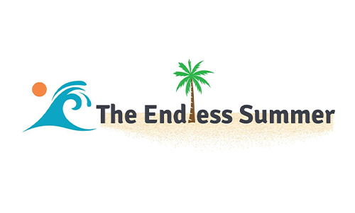 The Endless Summer Google Shopping Course