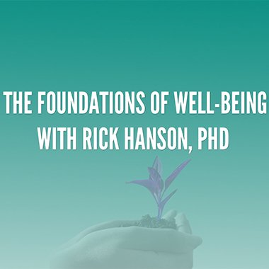 The Foundations of Well-Being (Complete)