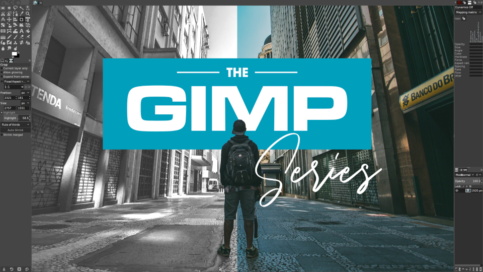 The GIMP Series