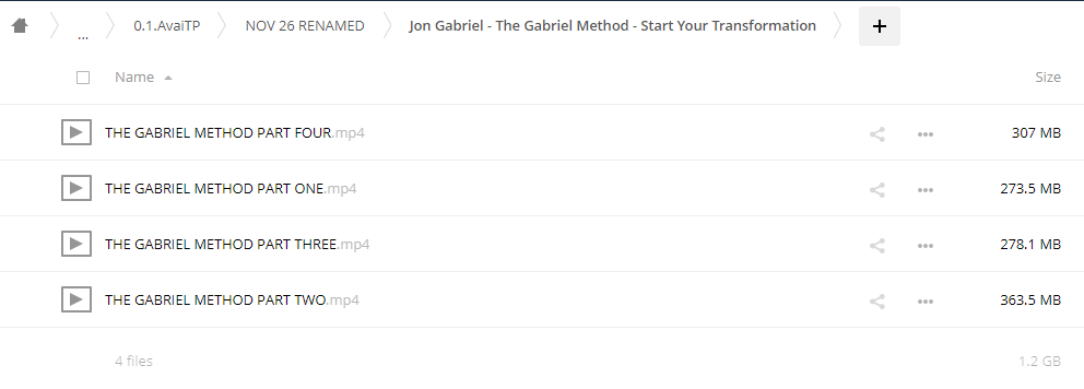 The Gabriel Method - Start Your Transformation