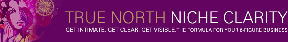 True North Niche Clarity Training Course