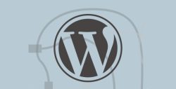 TutsPlus - Introduction to WordPress Plugin Development1