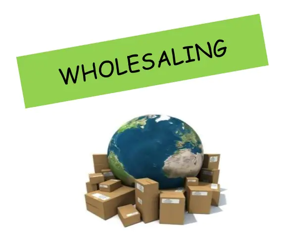 Wholesaling 101 Course