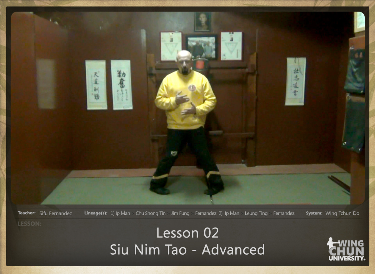 WingTchunDo - Lesson 02 - Siu Nim Tao - Advanced