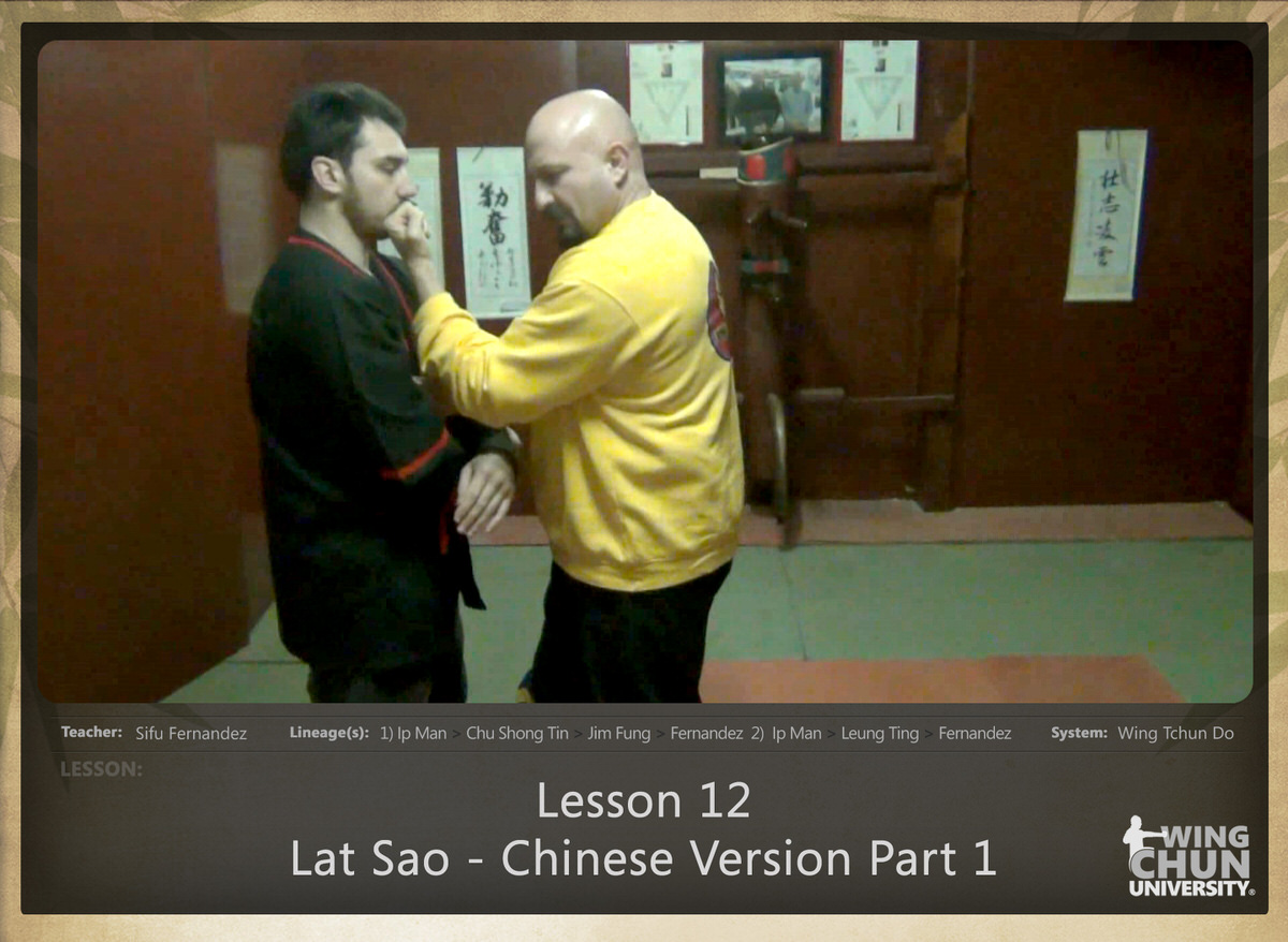 WingTchunDo - Lesson 12 - Lat Sao - Chinese Version Part 1