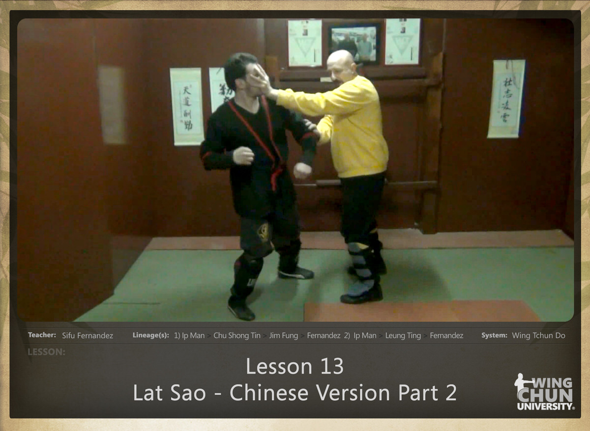 WingTchunDo - Lesson 13 - Lat Sao - Chinese Version Part 2