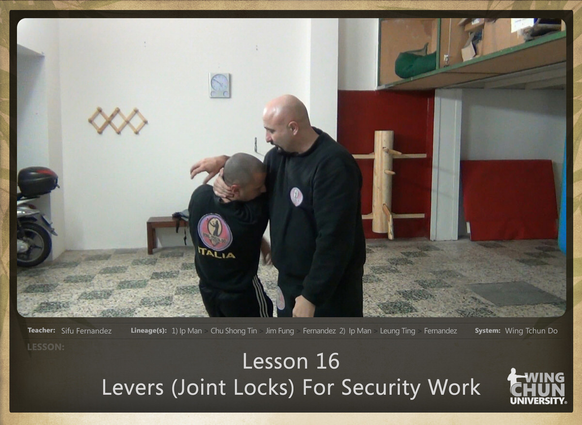 WingTchunDo - Lesson 16 - Levers (Joint Locks) For Security Work