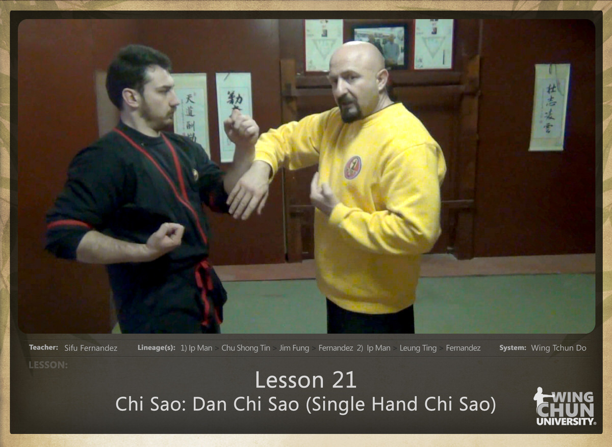 WingTchunDo - Lesson 21 - Chi Sao - Dan Chi Sao (Single Hand Chi Sao)